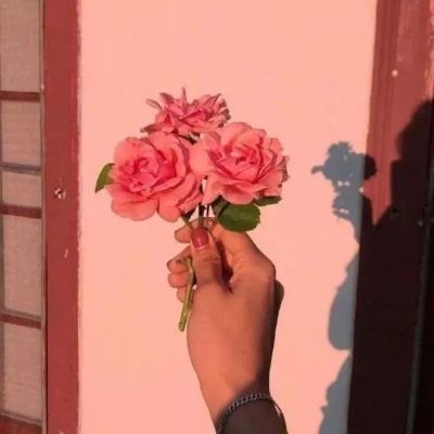 宝宝当学霸官方版下载